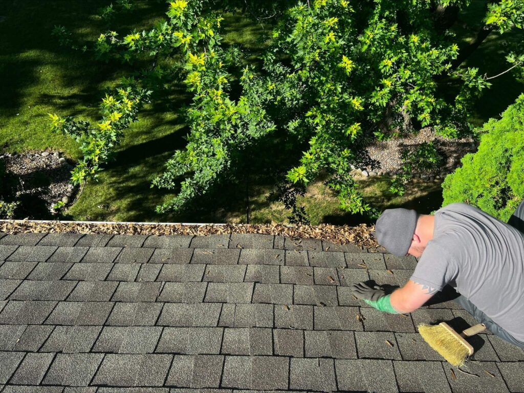 Germantown gutter cleaning