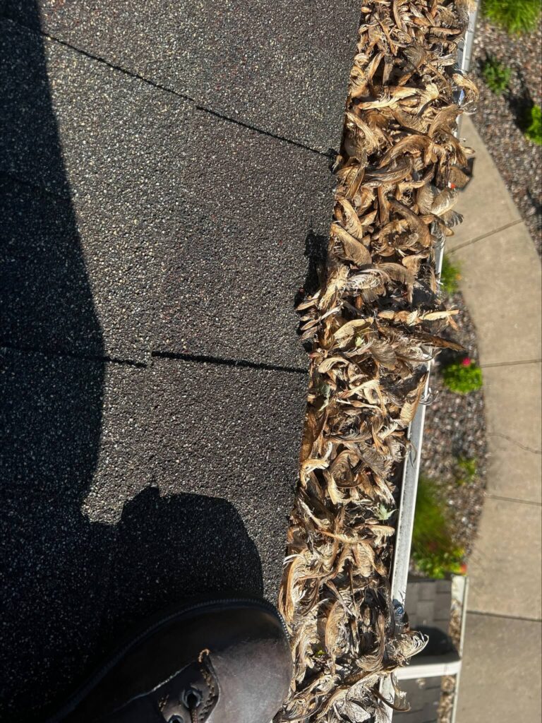 South Milwaukee gutter cleaning
