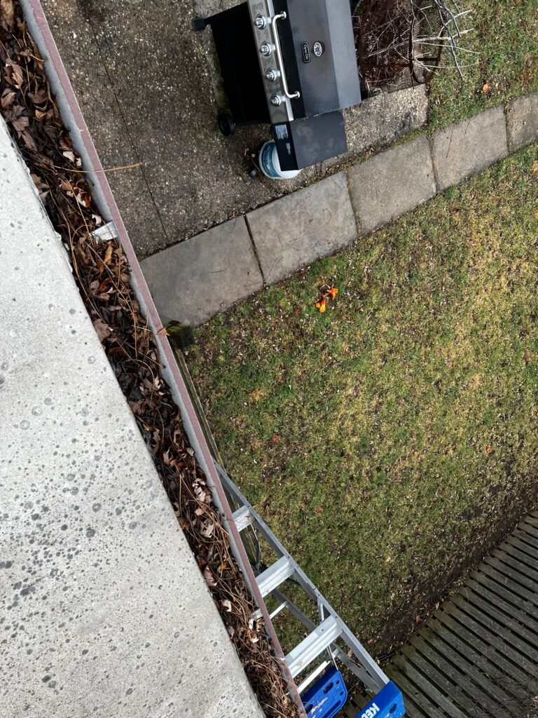 Milwaukee gutter cleaning